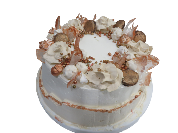 IMG_0012-removebg-preview