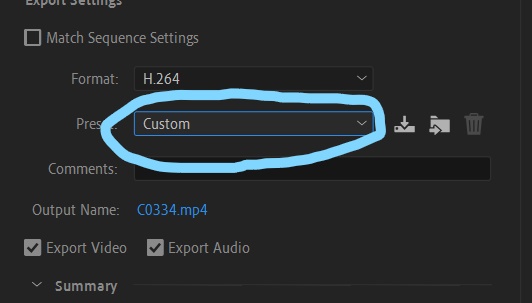 בעיה בפרימייר