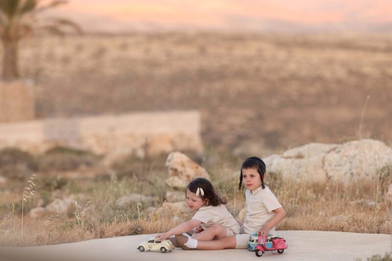 דבורי הרשלר מוקטן 0527143082 (6)