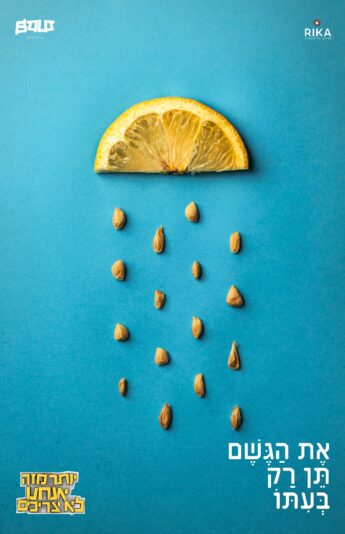 את הגשם תן רק בעיתו