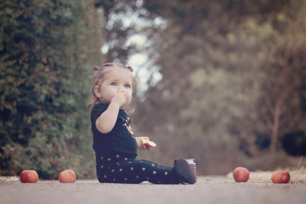 מעובד מלכי וינברגר 0533145584 העתק