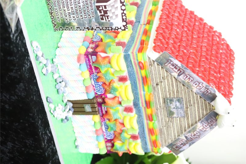 IMG_1934^00001_5_6014_