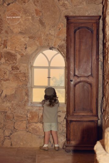 דבורי הרשלר 0527143082 מוקטן (3)