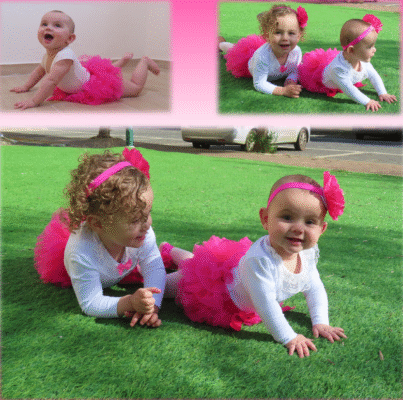 צילום מסך 2025-02-12 153000