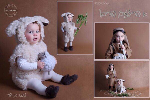 קולאז מוקטן ממש