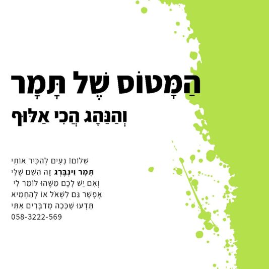 המטוס שלי (1)