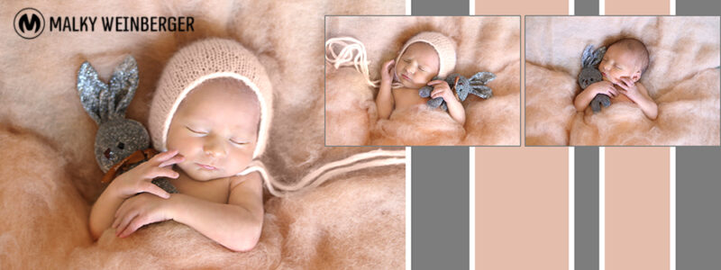 05 דובי אפרסק