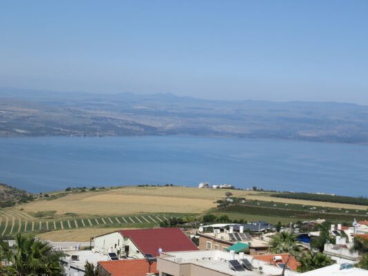 IMG_1132 (2) (1) - Copy (1)