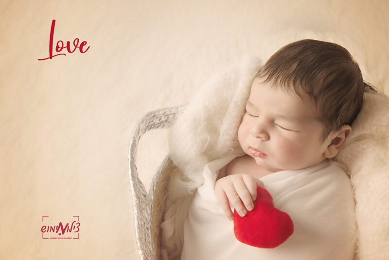 IMG_0531(1מוקטן)