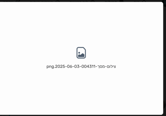 צילום מסך 2025-06-03 011939