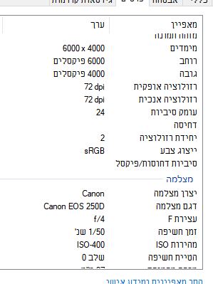 פרטים של תמונה ערוכה