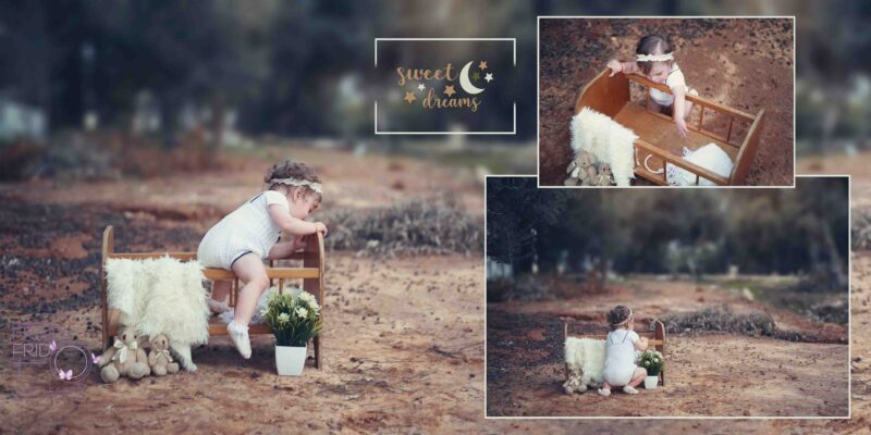 מיטה דסי מושקוביץ בוק copy