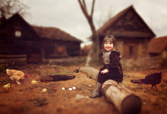 צילום מסך 2023-07-25 142835