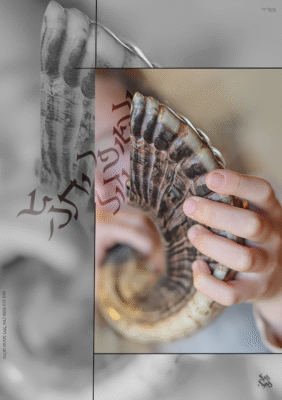 שופר גדול. רחל אורן