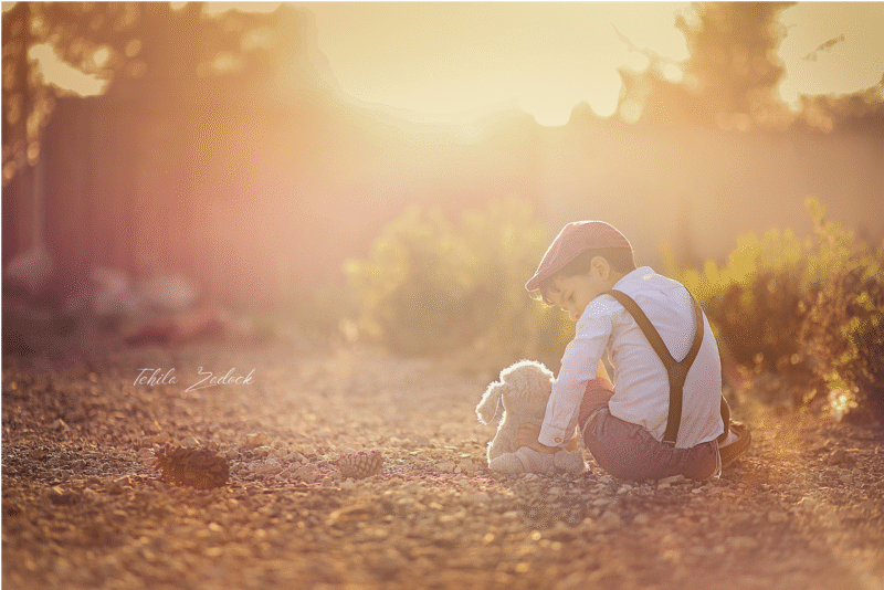 עם הדובי תאורה