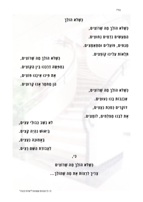 כשלא הולך.pdf_20250104_234247_0000
