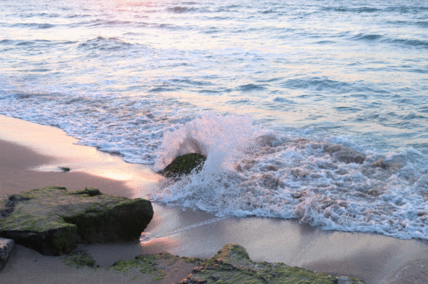צילום מסך 2024-09-04 022101