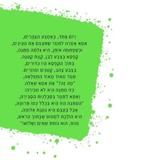 המטוס שלי (8)