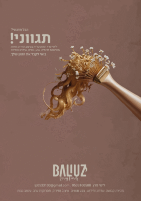 צילום מסך 2024-09-02 114207