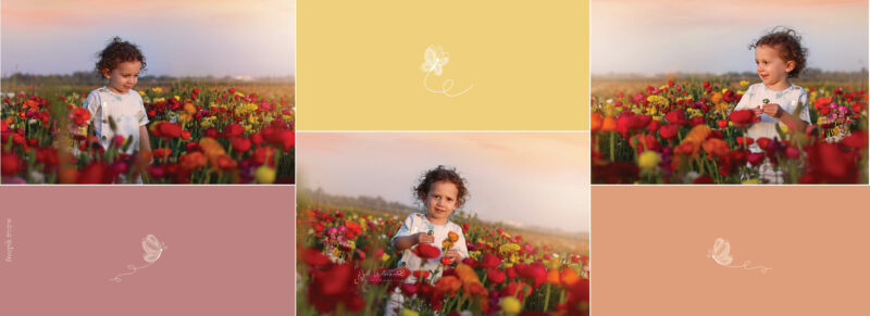 רוחי וקסלשטיין 0533138037(7)