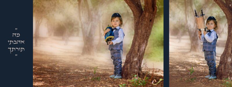 איכות נמוכה (2)