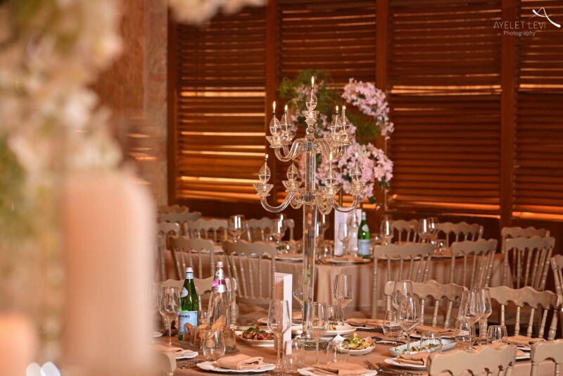 צילום - איילת לוי 0493