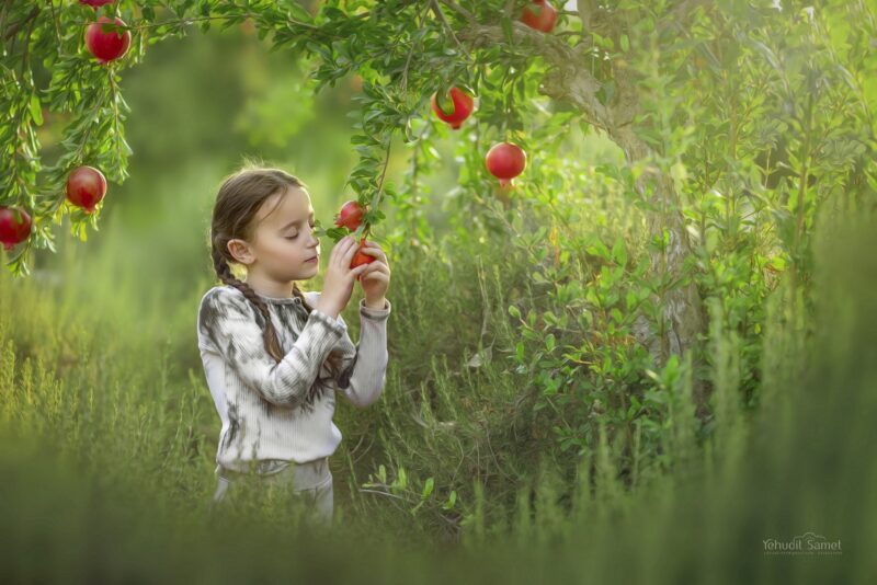 צילומי ר''ה יהודית סמט 0548543595