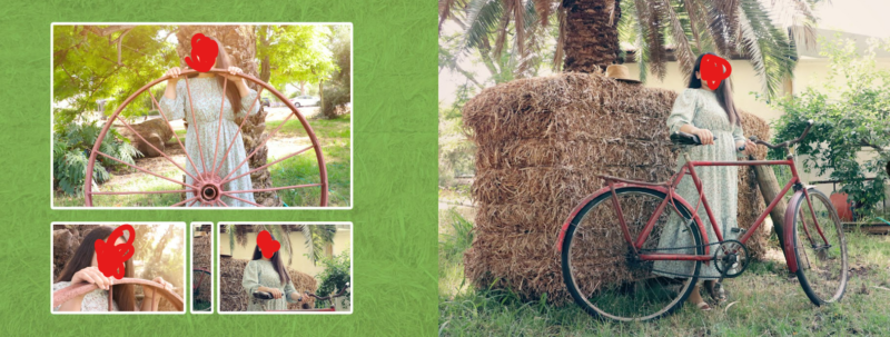 צילום מסך 2022-08-12 124844