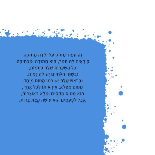 המטוס שלי (2)