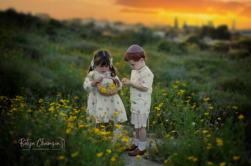 צילום מסך 2023-12-10 202433