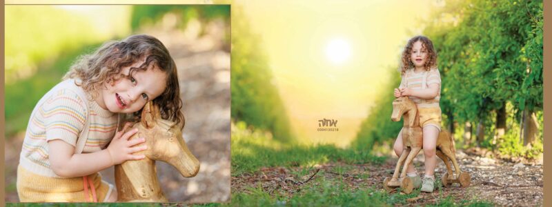 מאיר קניג 0504130218 אחוה פלוטקין18 copy