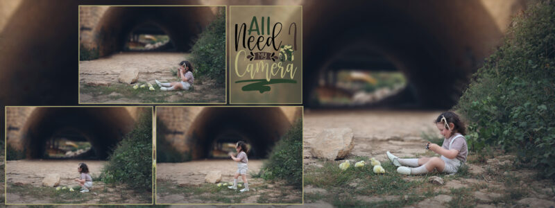 נמוכה עמוד אפרוחים ומצלמה 0