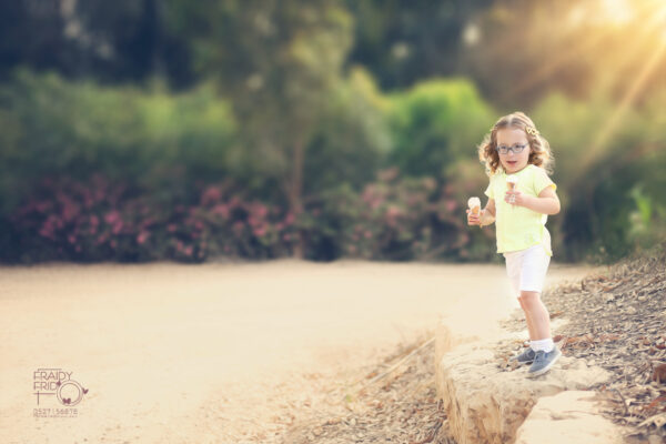 שלוימי גלידה copy