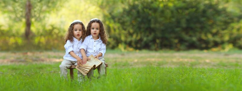 צילום יפעת 055.678 (2)