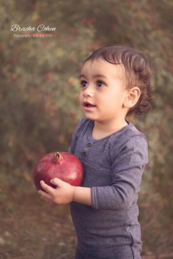 BRC_4390 חתוך copy א