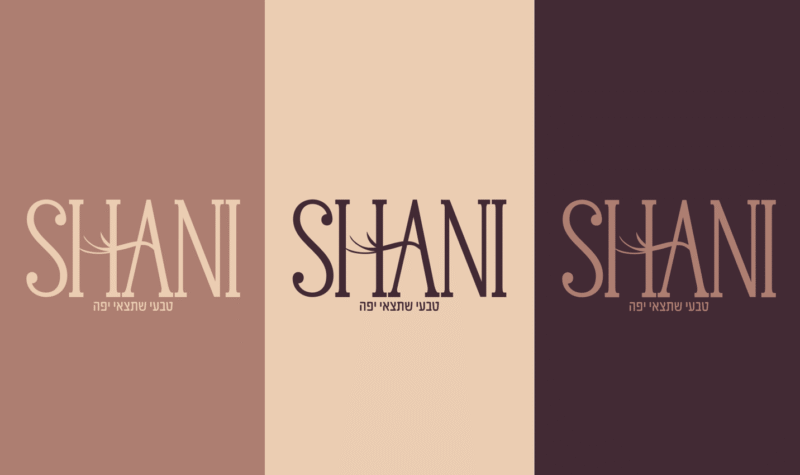 צילום מסך 2024-08-08 230946