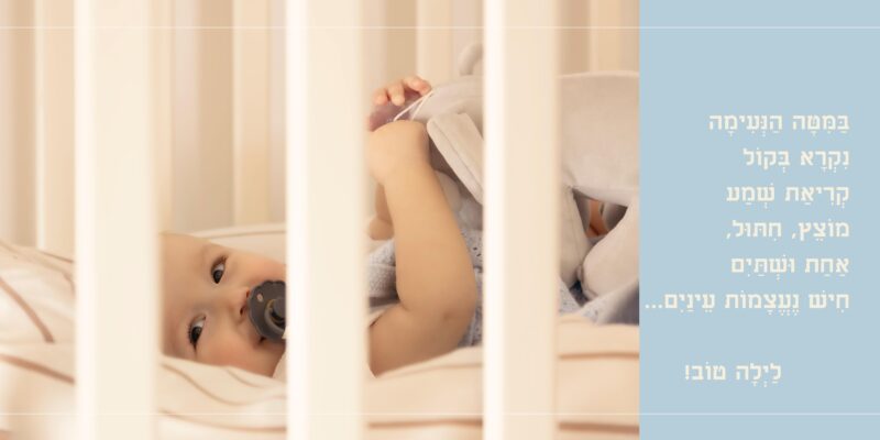 ידידיה צילום יפי הורביץ (11)