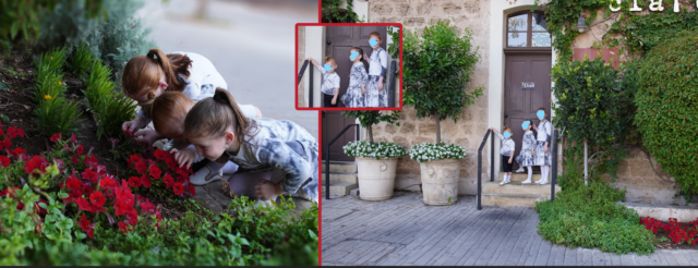 תמונה 1 שרונה