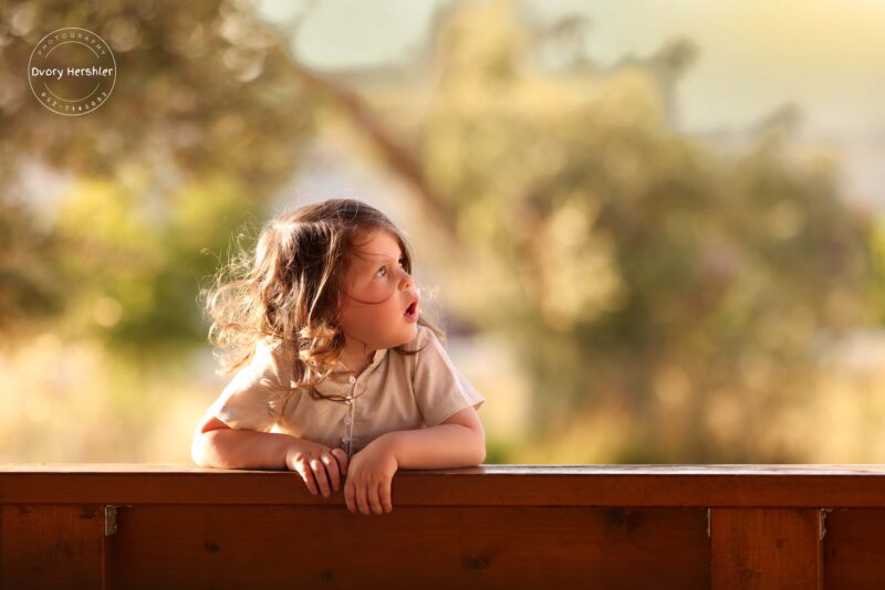 דבורי הרשלר 0527143082 מוקטן (2)