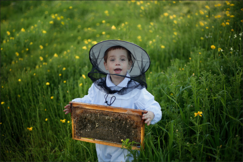 צילום מסך 2023-02-23 225946