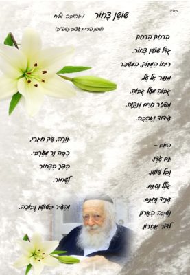 שׁוֹשַׁן צָחוֹר