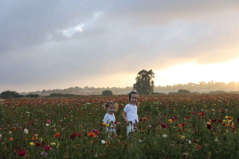 צילומים הודיה-לפני עיבוד