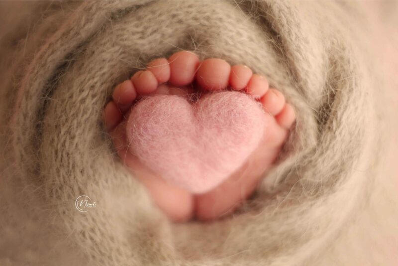 נעמי צלמת 0556738729