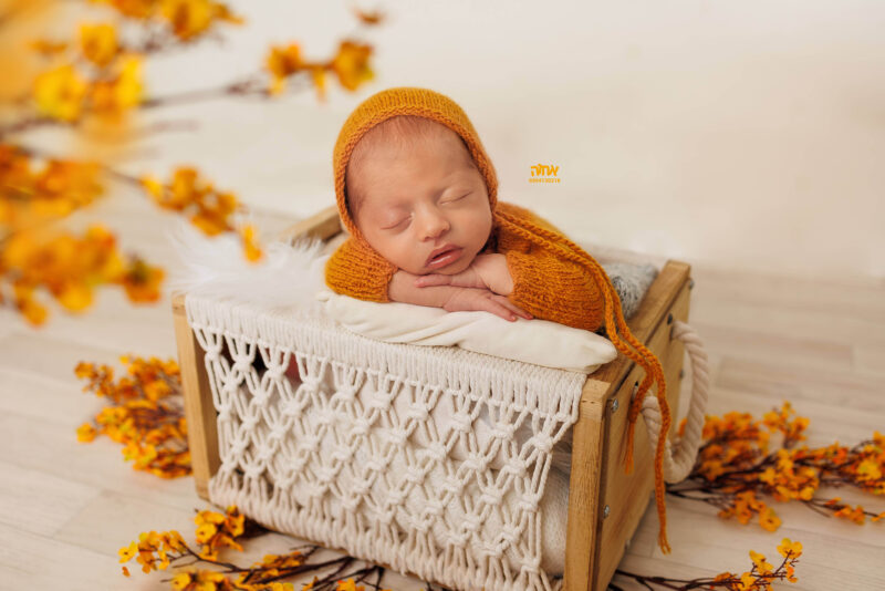 0504130218 אחוה פלוטקין (10)