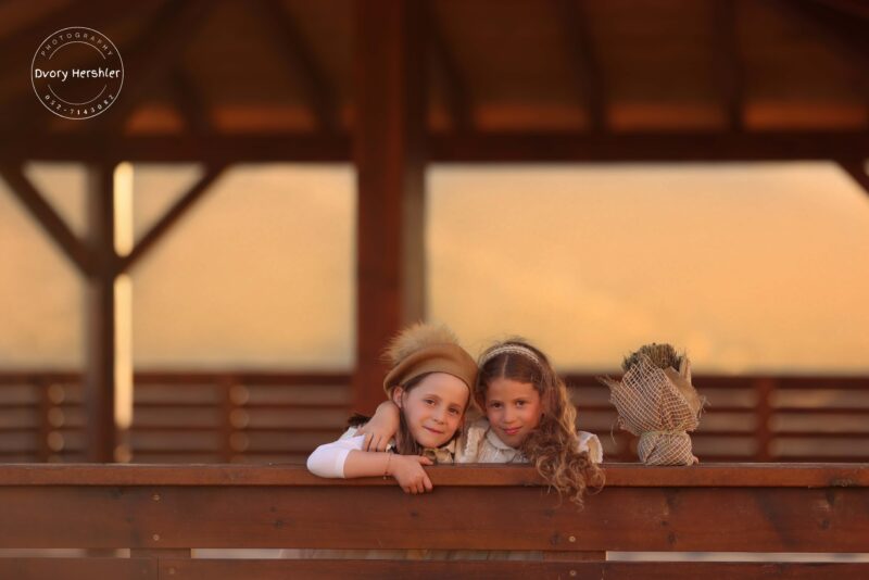 דבורי הרשלר 0527143082 מוקטן (1)