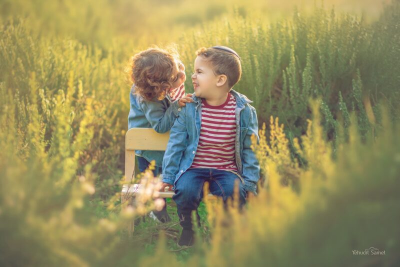 צילום יהודית סמט (3)