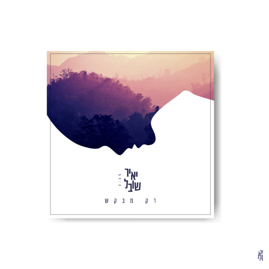 Blank CD cover design mockup vector