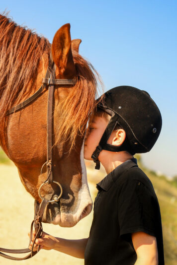 ברונר סוסים-24