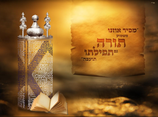 צילום מסך 2022-05-11 103943