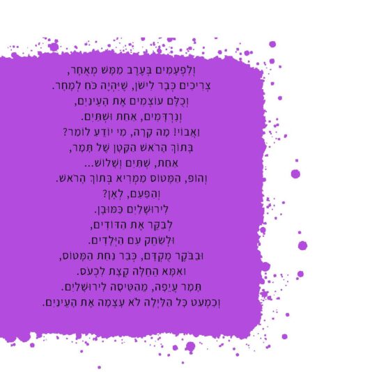 המטוס שלי (6)